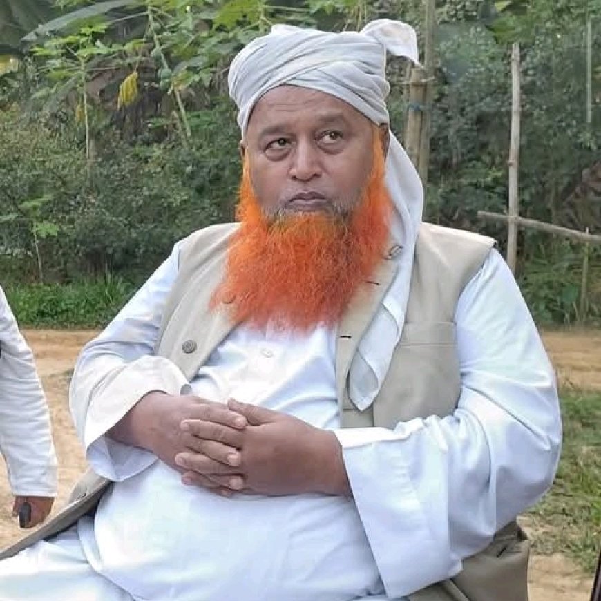 নারায়ণগঞ্জ বন্দরের বিশিষ্ট আলেম হাফেজ মাওলানা রফিকুল ইসলাম কাসেমীর ইন্তেকাল; আজ বাদ জোহর জানাজা