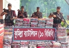 চৌদ্দগ্রাম সীমান্তে ৩৪ লাখ টাকার ভারতীয় শাড়ি জব্দ