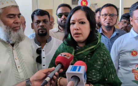 জামায়াতের ছায়া মন্ত্রিসভাকে সাধুবাদ, শেখ হাসিনার দেশে ফিরতে বাধা নেই’: রুমিন ফারহানা