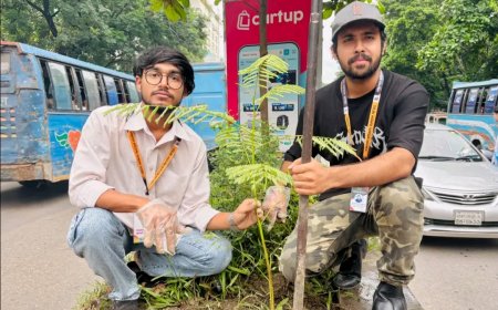 বৃক্ষরোপণের মাধ্যমে সবুজ বাংলাদেশের বার্তা দিল নবজাগরণ ফাউন্ডেশন