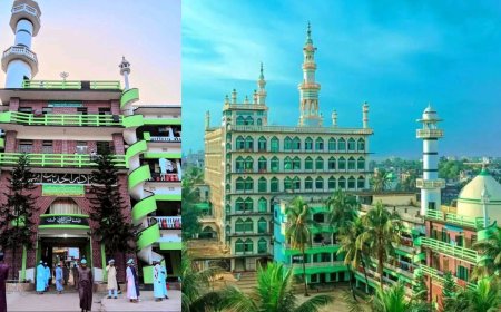 মাদরাসায় টিকটক ভিডিও তৈরি: হাটহাজারীর ৪ শিক্ষার্থী বহিষ্কার