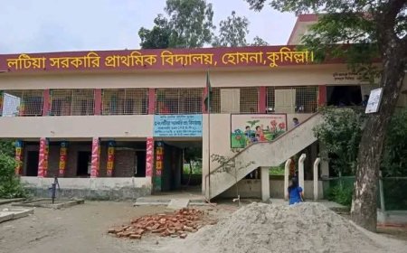 লটিয়া সরকারি প্রাথমিক বিদ্যালয়ের ৬ শিক্ষার্থীর বৃত্তি অর্জন, এলাকায় আনন্দের জোয়ার