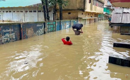 বন্যায় সাত জেলায় মৃত্যু বেড়ে ৫১, পানিবন্দি আড়াই লাখের বেশি পরিবার