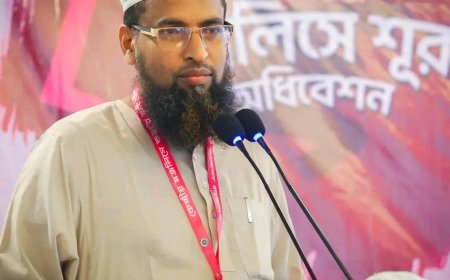 ​না জানিয়েই সংবিধান সংশোধন কমিটিতে নাম, দেশবাসীকে বিভ্রান্ত না হওয়ার আহ্বান এমপি অলিউল্লাহর