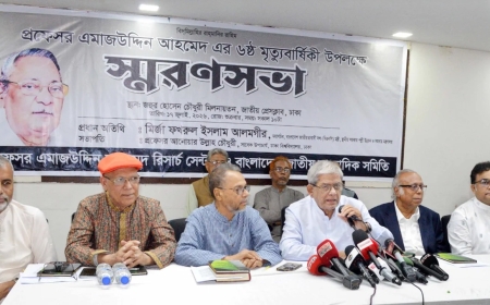 জুলাই সনদের প্রতিটি অক্ষর আমরাই বাস্তবায়ন করব: মির্জা ফখরুল ইসলাম
