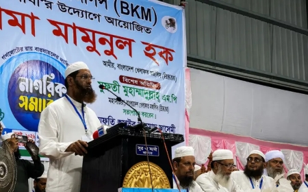 গণভোটের রায় বাস্তবায়ন ছাড়া সংসদ চলতে পারে না: মামুনুল হক