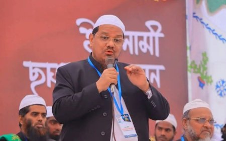 ফ্যাসিবাদের পতন হলেও তরুণ প্রজন্মের লক্ষ্য পূরণ হয়নি: চরমোনাই পীর