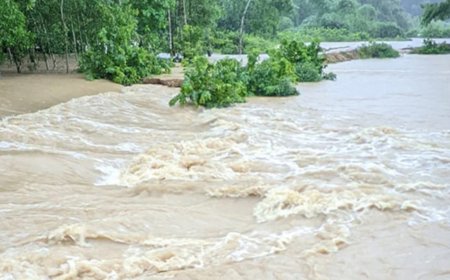২৪ থেকে ৪৮ ঘণ্টার মধ্যে উত্তর ও উত্তর-পূর্বাঞ্চলের ৭ জেলায় বন্যার আশঙ্কা