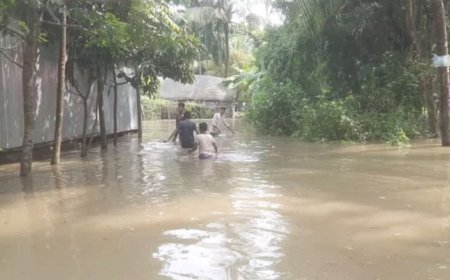 নেত্রকোনা সীমান্তে পাহাড়ি ঢলে আকস্মিক বন্যা: প্লাবিত অন্তত ৪০ গ্রাম