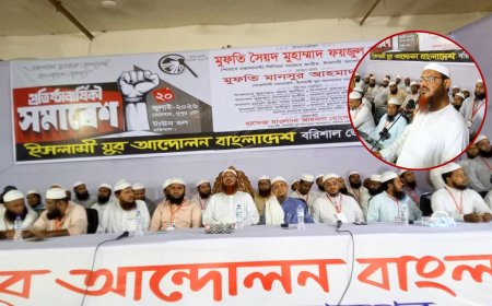 এই বাংলাদেশ দেখার জন্য বুলেটের সামনে দাঁড়াইনি: শায়খে চরমোনাই