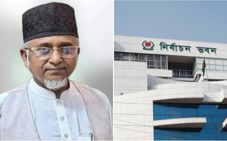 দল থেকে বহিষ্কৃত এমপি নজরুলের আসন শূন্য হওয়া নিয়ে যা জানাল ইসি
