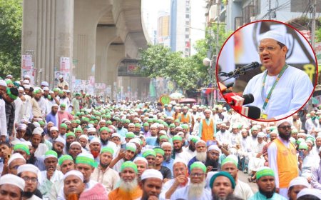 সরকার জনগণের পালস বুঝতে ব্যর্থ হয়েছে:  চরমোনাই পীর