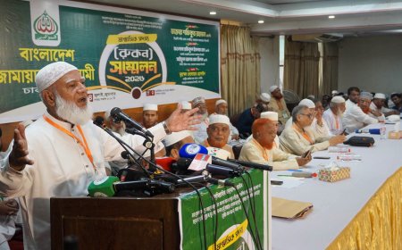 গণভোটের রায় উপেক্ষা করে জনগণের মতামতকে অবজ্ঞা করা হচ্ছে: ডা. শফিকুর রহমান