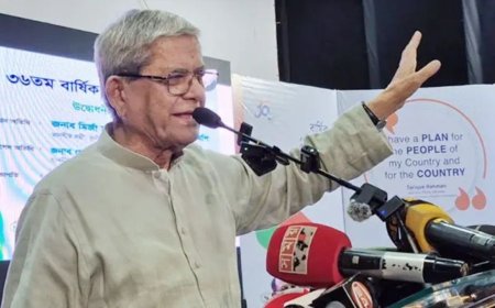 রাষ্ট্রপতি পদে মনোনয়ন নিয়ে মুখ খুললেন মির্জা ফখরুল ইসলাম