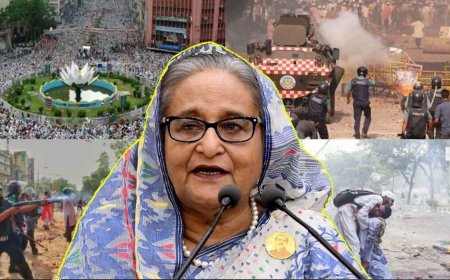 শাপলা চত্বর হত্যাযজ্ঞ: হাসিনাসহ ৪১ জনের বিরুদ্ধে অভিযোগ দাখিল