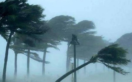 রাতের মধ্যে ৭ অঞ্চলে ঝড় ও বজ্রবৃষ্টির আভাস