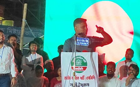 পালাবো না বলেও যে পালায়, সে আসি আসি করেও আসবে না': হাসনাত আব্দুল্লাহ