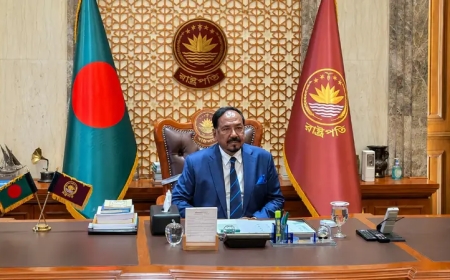 বঙ্গভবনে দাপ্তরিক কার্যক্রম শুরু করলেন ভারপ্রাপ্ত রাষ্ট্রপতি