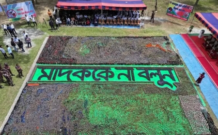 ব্রাহ্মণবাড়িয়া-কুমিল্লা সীমান্তে ৩৩ কোটি টাকার মাদক ধ্বংস করল বিজিবি