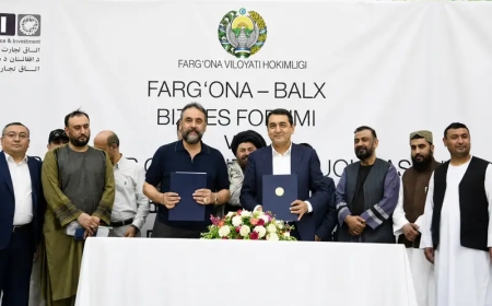 আফগানিস্তান-উজবেকিস্তানের মধ্যে পাঁচ কোটি ডলারের ২৫ চুক্তি সই