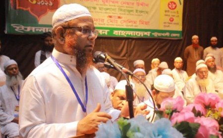 ​জুলাই সনদের আলোকে নতুন রাষ্ট্রপতি নির্বাচন করতে হবে: গাজী আতাউর রহমান