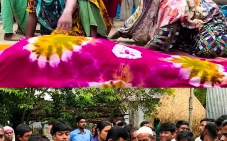 পারিবারিক বিরোধের জেরে ভাতিজার হাতে চাচি খু/ন