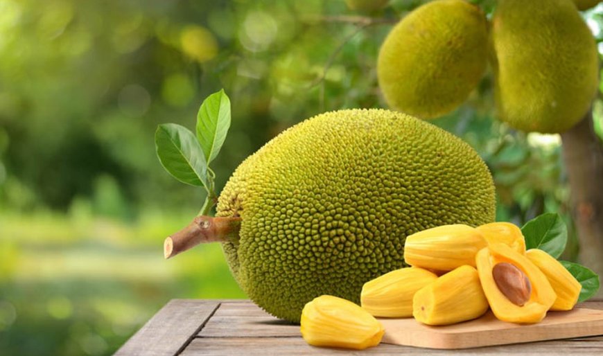 আজ কাঁঠাল দিবস  জাতীয় ফলকে নতুন করে জানুন