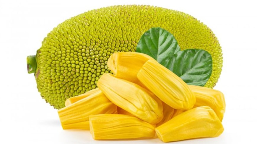 আজ কাঁঠাল দিবস  জাতীয় ফলকে নতুন করে জানুন