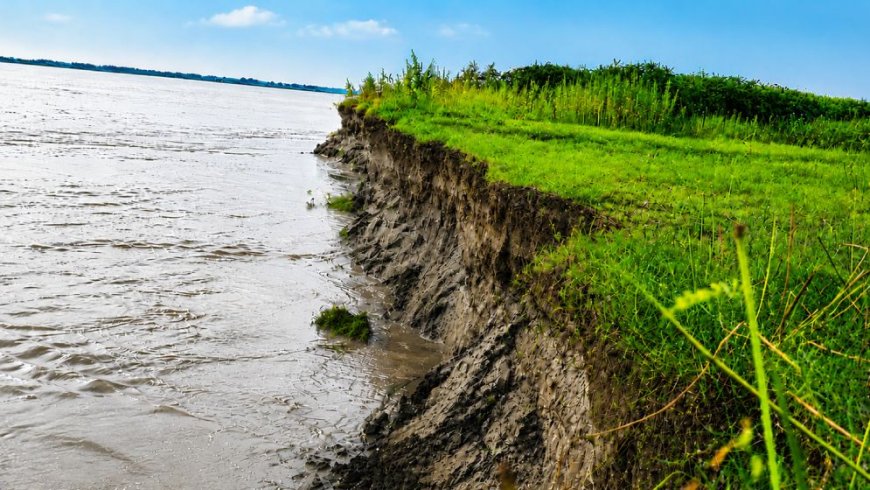 যমুনার তীব্র ভাঙনে বিলীন বসতভিটা ও আবাদি জমি, চরম ঝুঁকিতে যমুনা বন্যা নিয়ন্ত্রণ বাঁধ