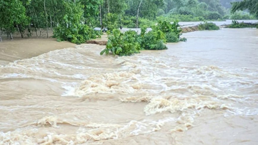 ২৪ থেকে ৪৮ ঘণ্টার মধ্যে উত্তর ও উত্তর-পূর্বাঞ্চলের ৭ জেলায় বন্যার আশঙ্কা