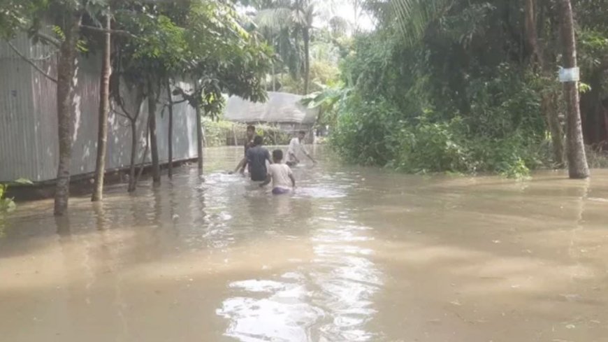 নেত্রকোনা সীমান্তে পাহাড়ি ঢলে আকস্মিক বন্যা: প্লাবিত অন্তত ৪০ গ্রাম