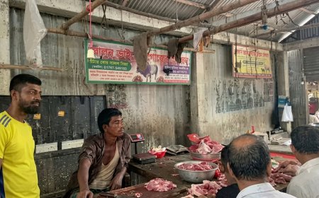 মৃতপ্রায় অসুস্থ পশু জবাই করে বিক্রির প্রস্তুতি,  কসাইকে ২০ হাজার টাকা জরিমানা