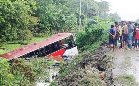 ভাঙায় নিয়ন্ত্রণ হারিয়ে যাত্রীবাহী বাস খাদে, আহত ২৫