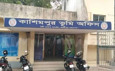 কাশিমপুর ভূমি অফিসের সব কর্মকর্তা-কর্মচারী সাময়িক বরখাস্ত