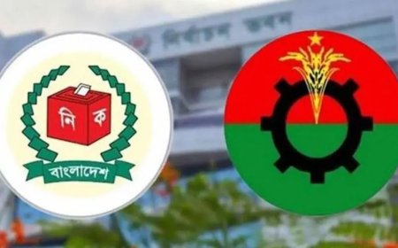 রাষ্ট্রপতি নির্বাচনে বিএনপির দুই মনোনয়নপত্র সংগ্রহ