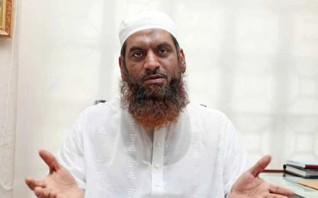 অলি আহমদকে রাষ্ট্রপতি পদে মনোনয়নের কারণ জানালেন মামুনুল হক