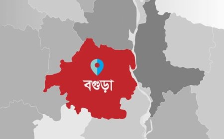 পাস ও জিপিএ-৫—দুই সূচকেই রাজশাহী বোর্ডে সেরা বগুড়া