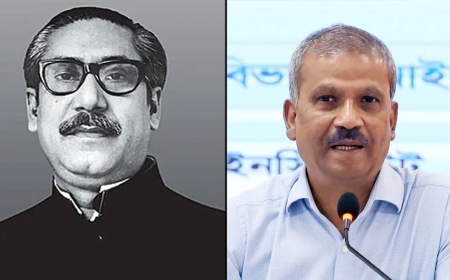 বঙ্গবন্ধুর জন্ম না হলে অন্তত ১৯৭১ সালে দেশ স্বাধীন হতো না: আসিফ নজরুল