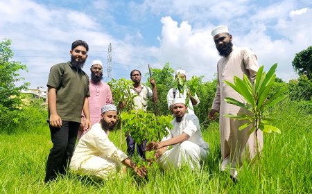 জুলাই উদ্যানে বৃক্ষরোপণ, ইবিতে ইসলামী ছাত্র আন্দোলনের ৩৫তম প্রতিষ্ঠাবার্ষিকীর কর্মসূচি শুরু, চলবে মাসব্যাপী
