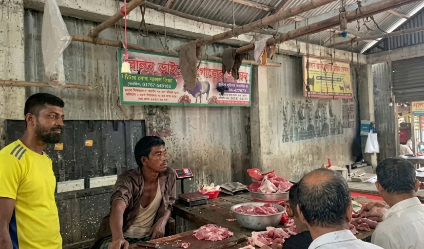 মৃতপ্রায় অসুস্থ পশু জবাই করে বিক্রির প্রস্তুতি,  কসাইকে ২০ হাজার টাকা জরিমানা