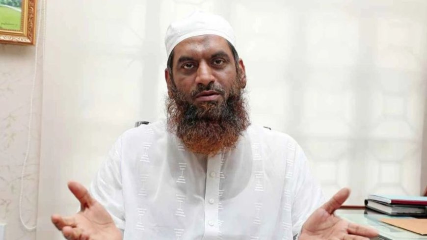 অলি আহমদকে রাষ্ট্রপতি পদে মনোনয়নের কারণ জানালেন মামুনুল হক