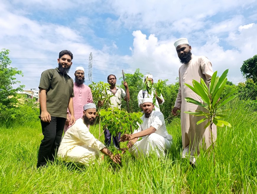 জুলাই উদ্যানে বৃক্ষরোপণ, ইবিতে ইসলামী ছাত্র আন্দোলনের ৩৫তম প্রতিষ্ঠাবার্ষিকীর কর্মসূচি শুরু, চলবে মাসব্যাপী