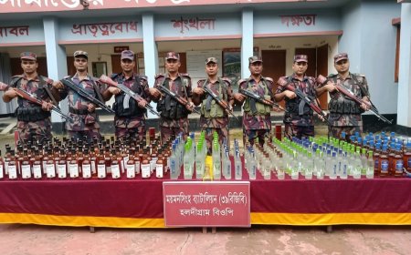 শেরপুর সীমান্তে ২৭৩ বোতল ভারতীয় মদ জব্দ, আনুমানিক মূল্য ৪ লক্ষাধিক